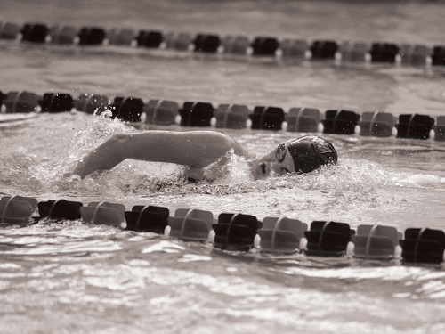 Sophomore Maddy Amann swims in a freestyle race against Susquehanna. 