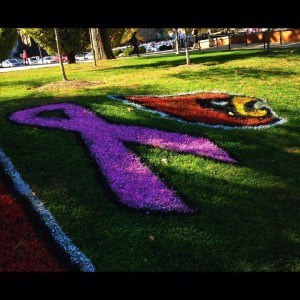 Relay for LIfe Ribbon