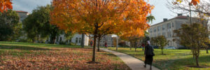 cropped-Fall_campus_002-1.jpg