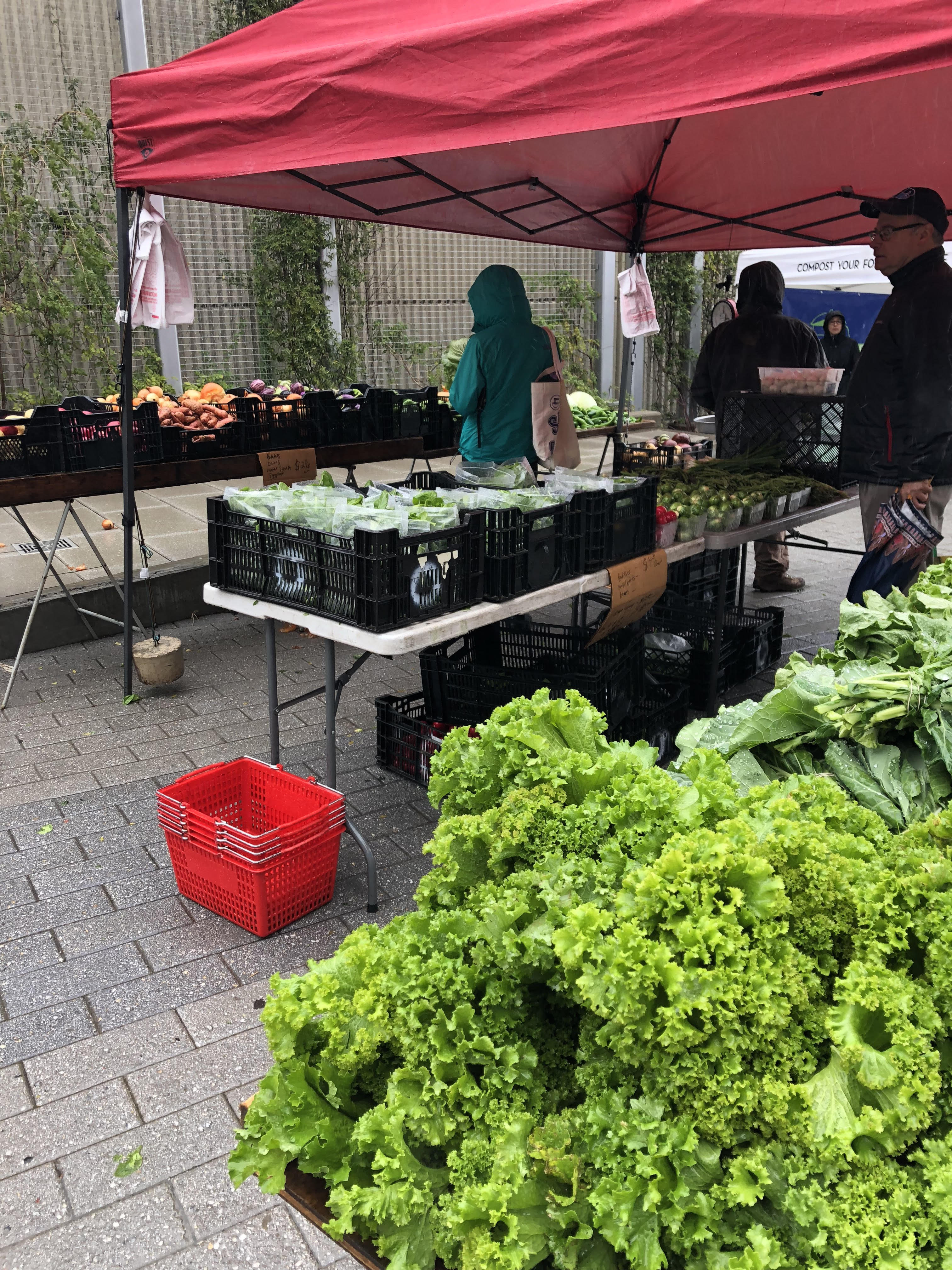 farmers market