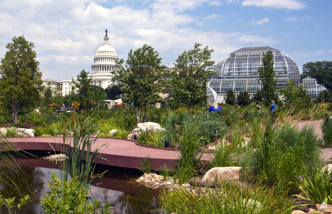 national_garden_u.s._botanic_garden_-_aug_2011