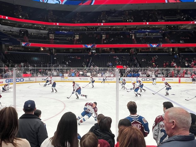 A crowd's perspective of a hockey game.