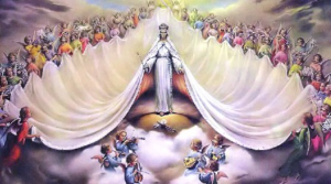mary queen of heaven